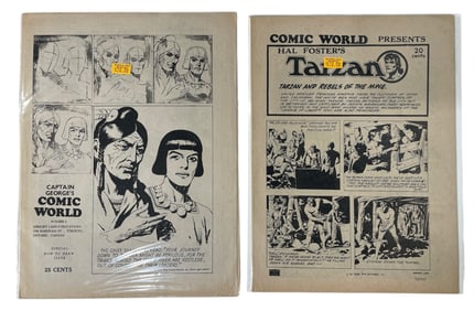 Comic World Newspaper Collection