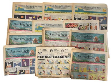Vintage Comic Newspaper Collection