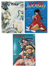 Comic Book Collection | 3 pc.