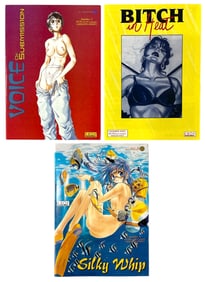 Comic Book Collection | 3 pc.