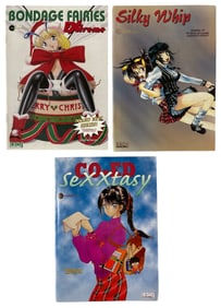 Comic Book Collection | 3 pc.