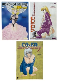 Comic Book Collection | 3 pc.