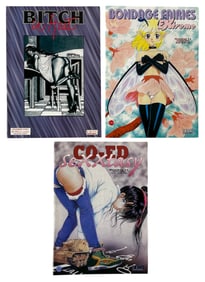 Comic Book Collection | 3 pc.