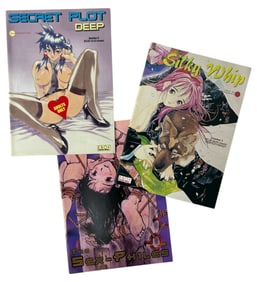 Comic Book Collection | 3 pc.