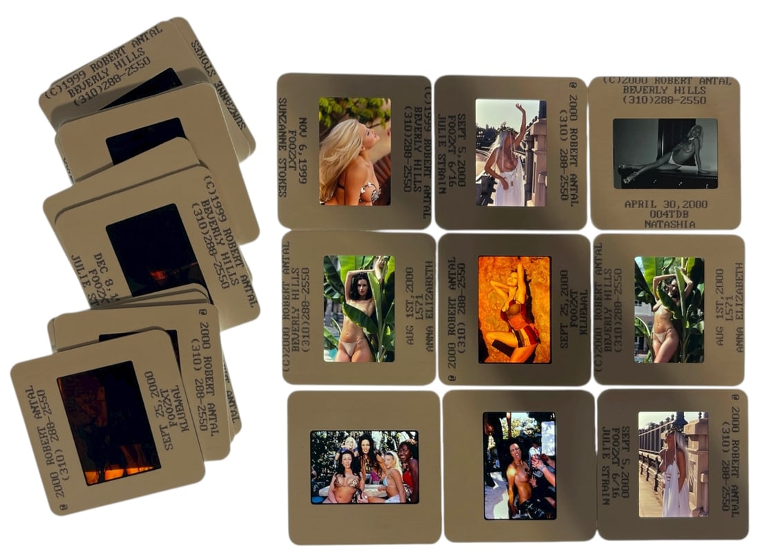 Photo Slide Collection: Photo Slide Collection