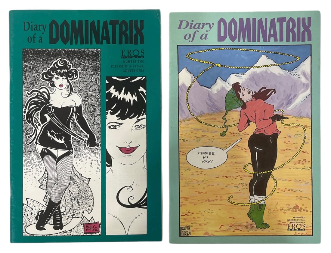 Comic Book Collection | 2 pc. (1 of 2)