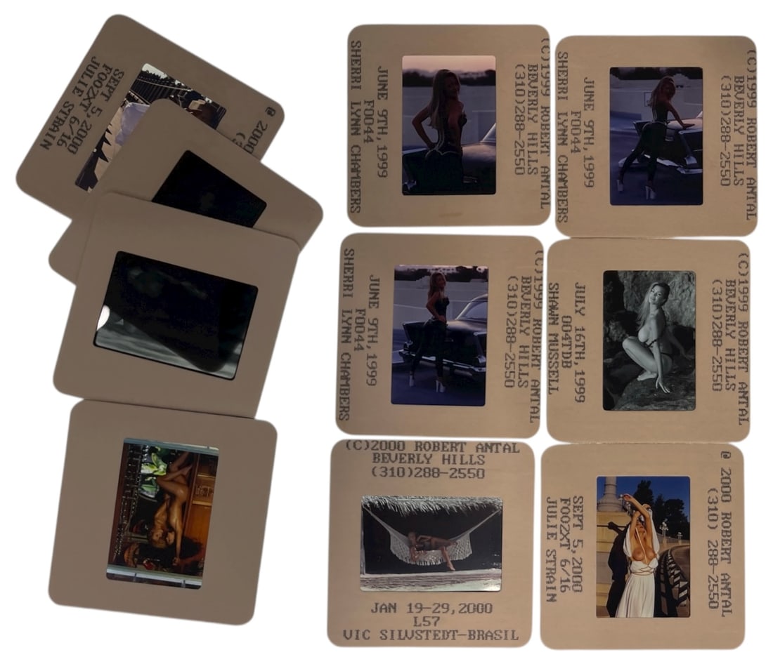 Photo Slide Collection: Photo Slide Collection