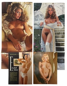 Vintage Magazine Pages and Centerfold Collection
