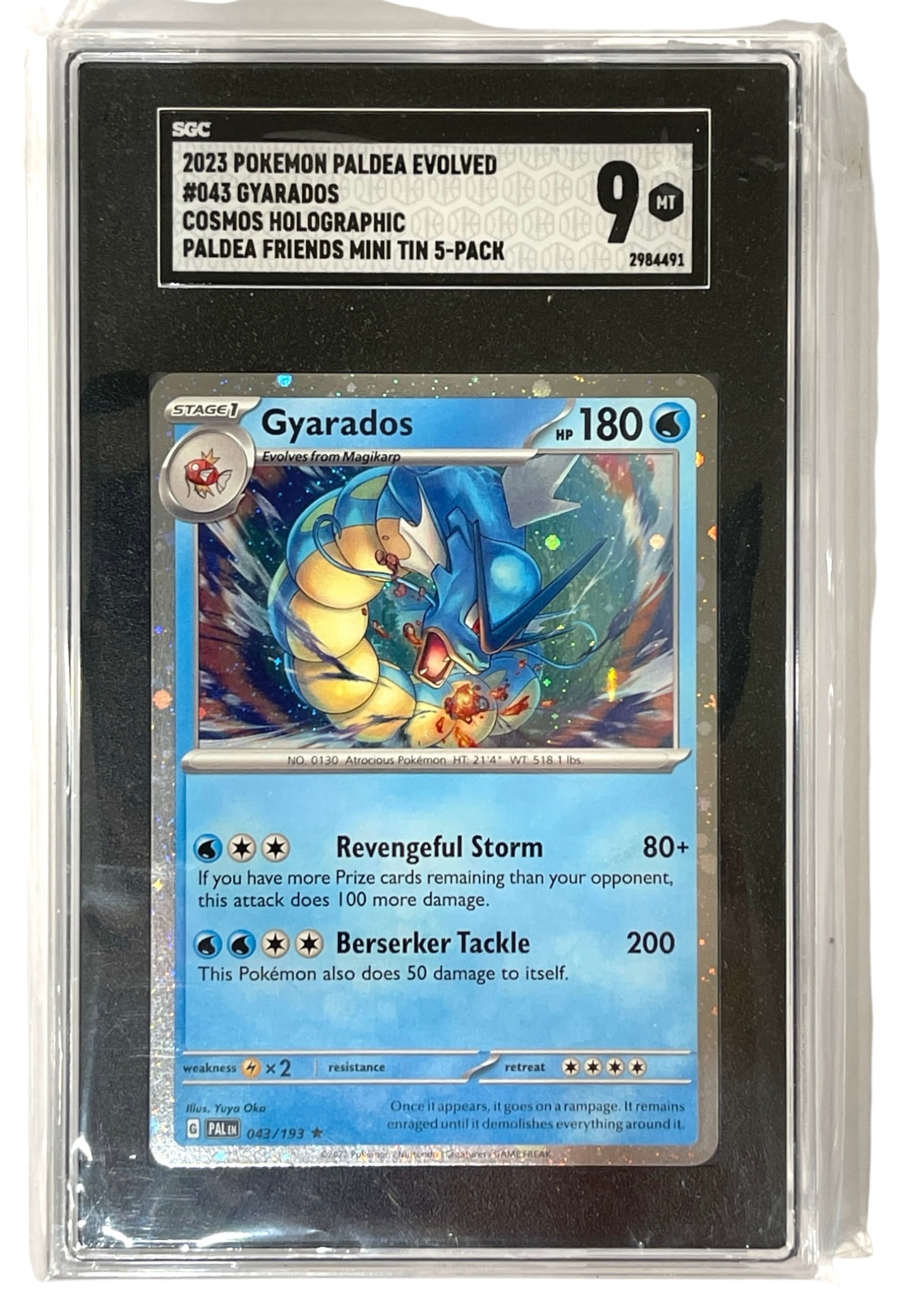 2023 Pokemon Paldea Evolved | Gyarados HOLO | Graded 9 (1 of 2)