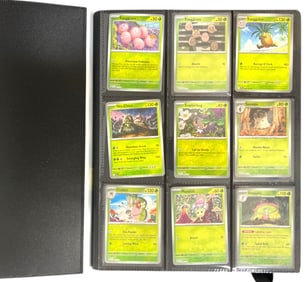 Pokemon Trading Card Collection | 360 pc.