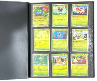 Pokemon Trading Card Collection | 360 pc.