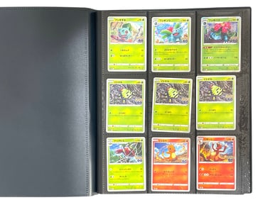 Pokemon Trading Card Collection | 126 pc.