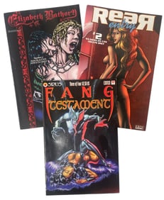 Comic Book Collection | 3 pc.