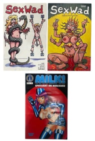 Comic Book Collection | 3 pc.