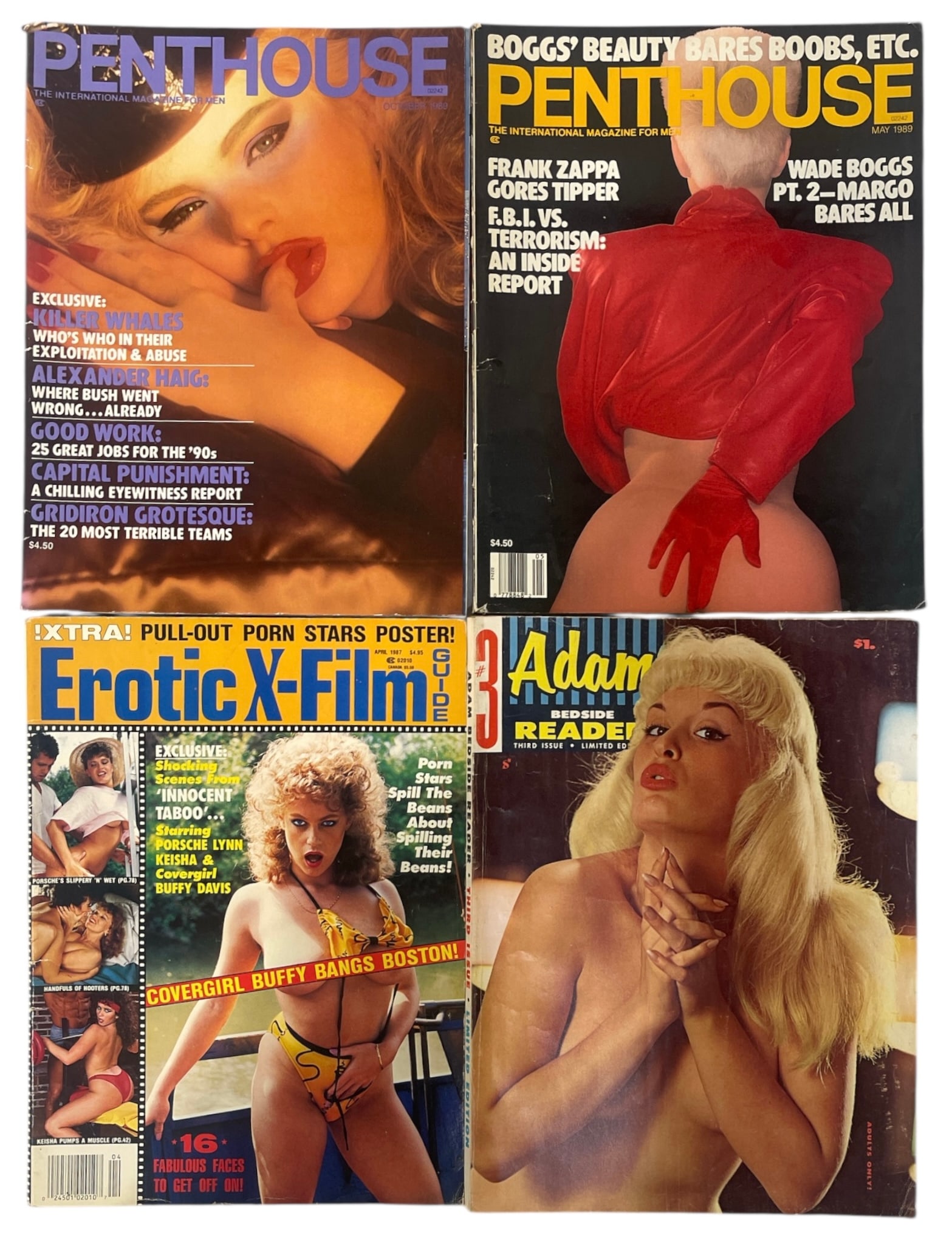 Magazine Collection: Magazine Collection