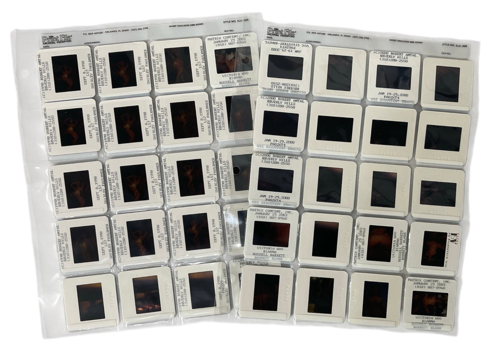 Photo Slide Collection: Photo Slide Collection
