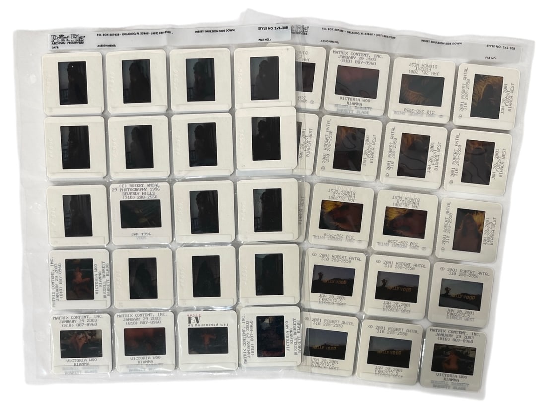 Photo Slide Collection: Photo Slide Collection