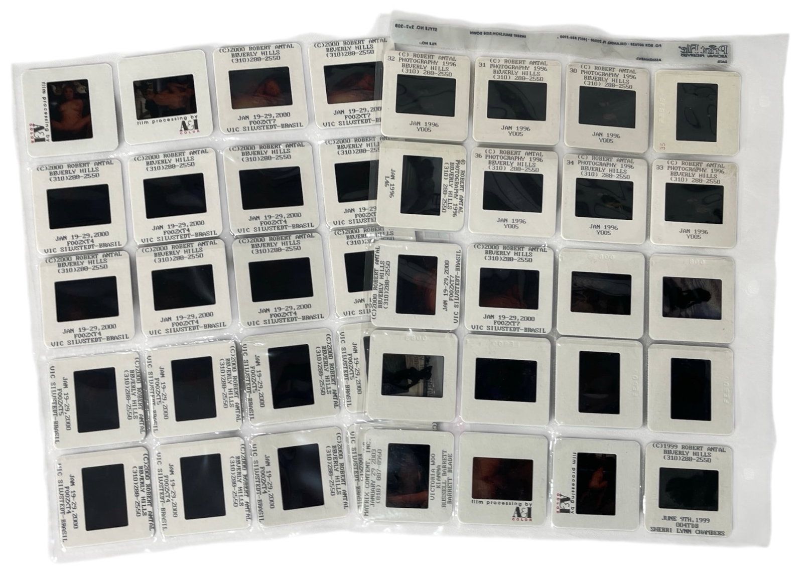 Photo Slide Collection: Photo Slide Collection