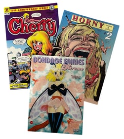 Comic Book Collection | 3 pc.