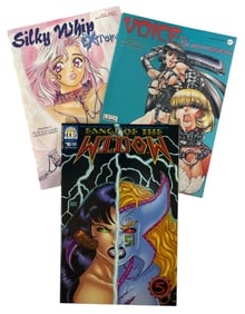 Comic Book Collection | 3 pc.