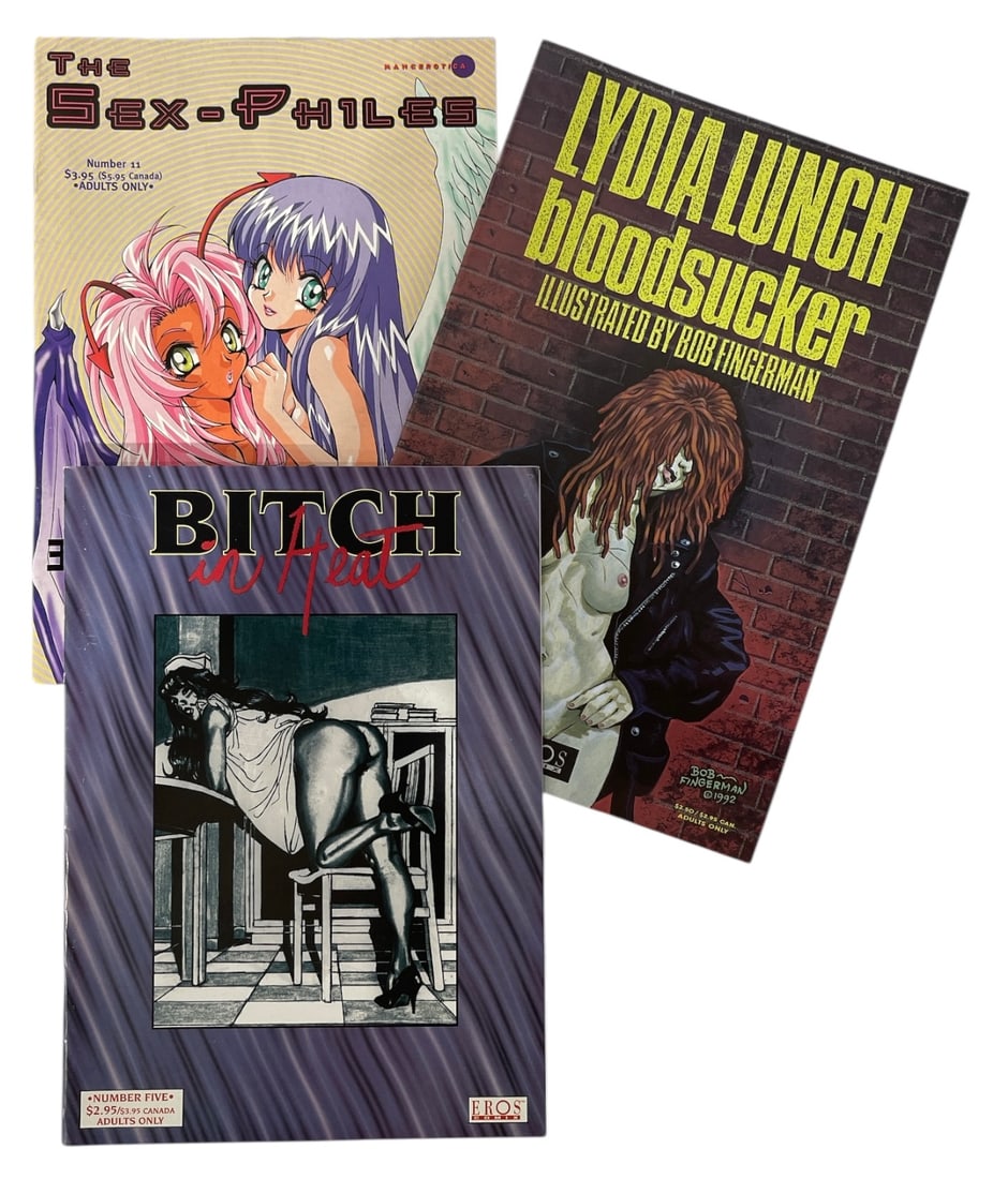 Comic Book Collection | 3 pc.: Comic Book Collection | 3 pc.