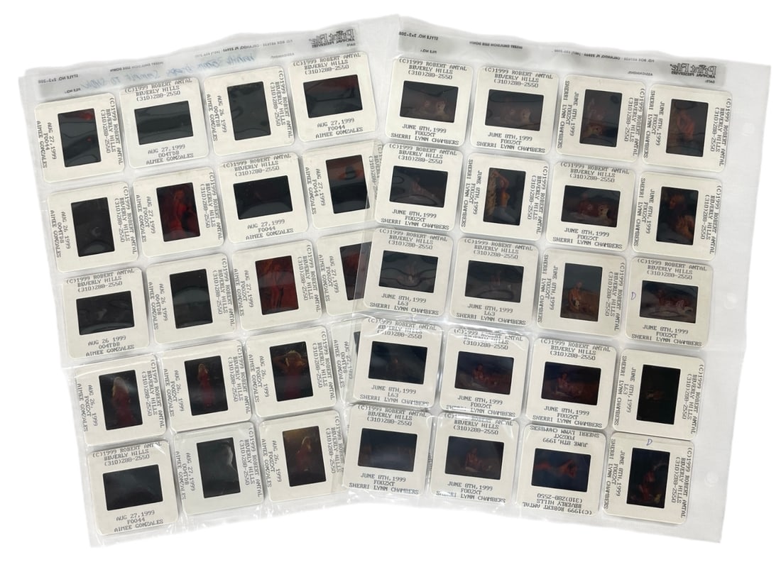 Photo Slide Collection (1 of 1)