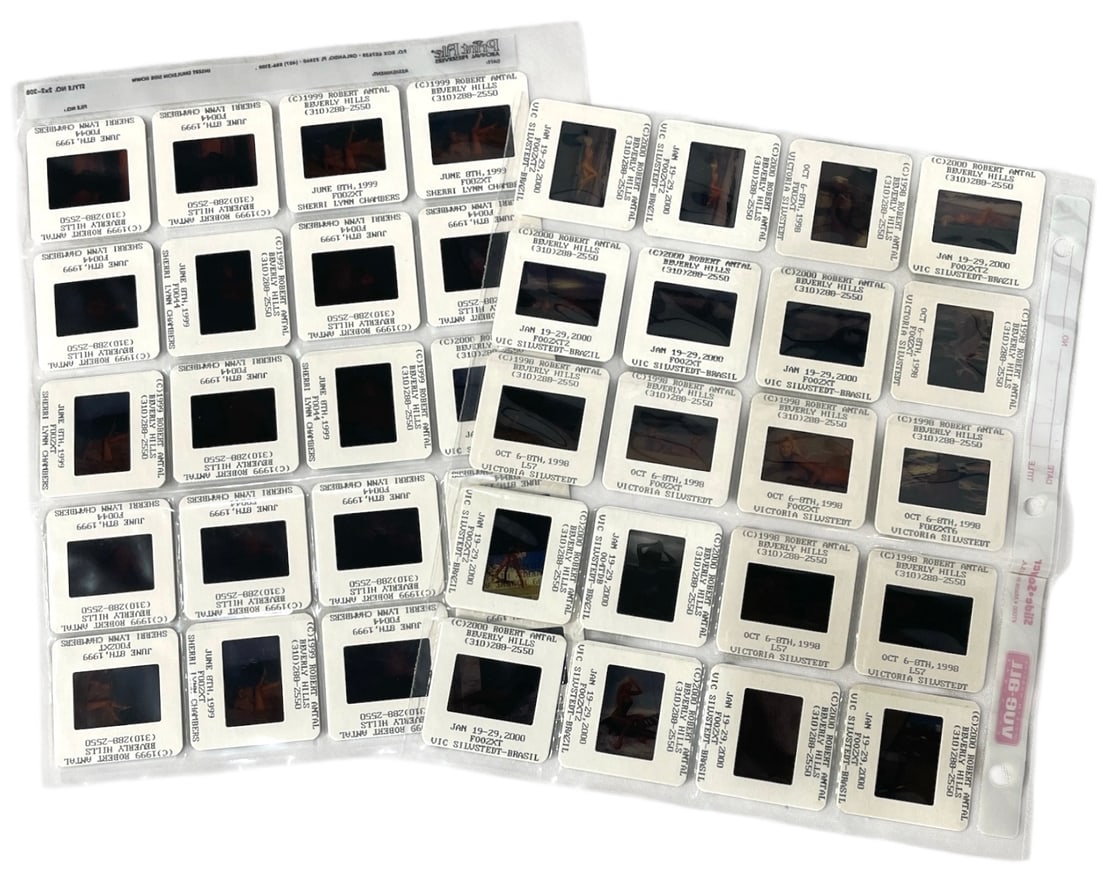 Photo Slide Collection (1 of 1)