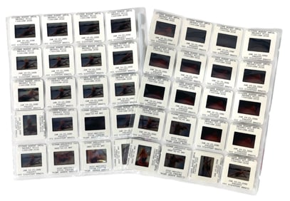 Photo Slide Collection