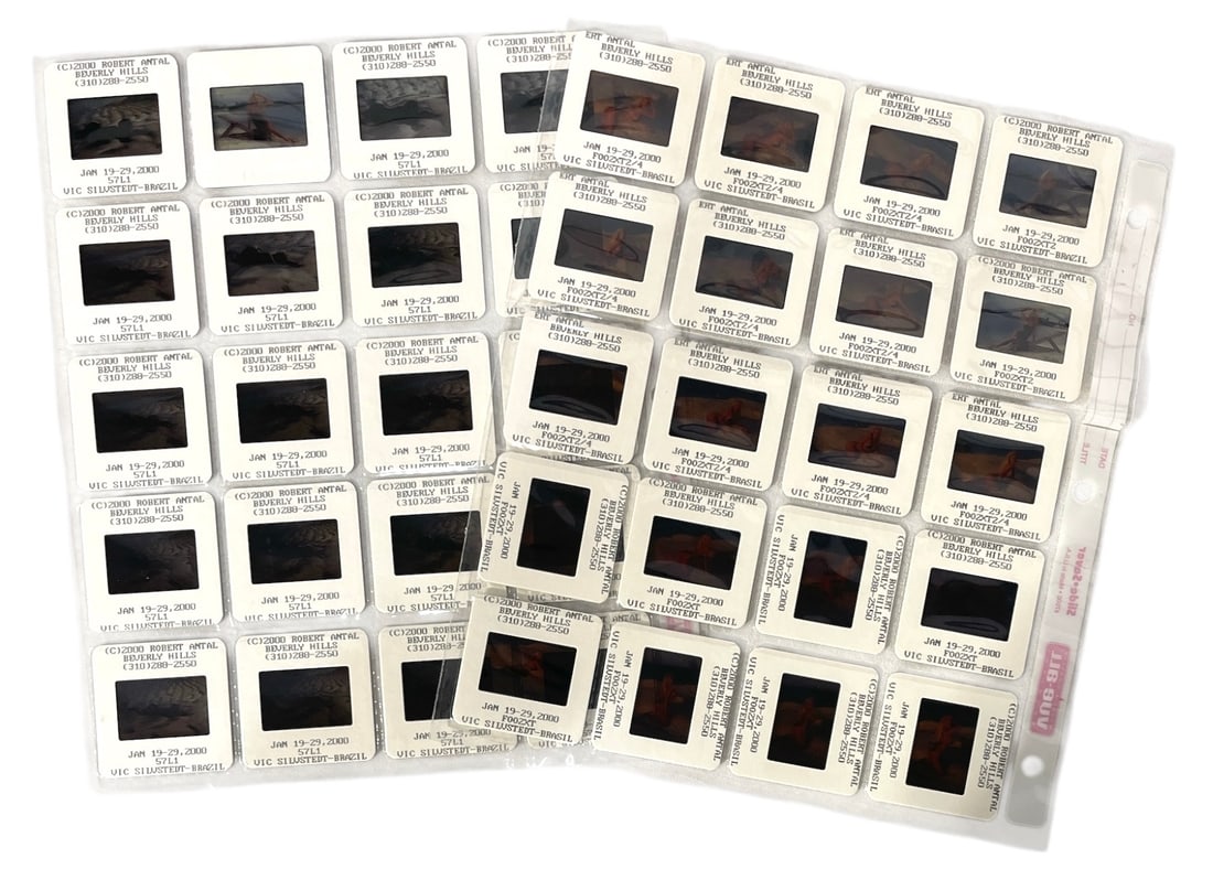 Photo Slide Collection (1 of 1)