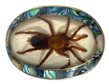 Tarantula Belt Buck