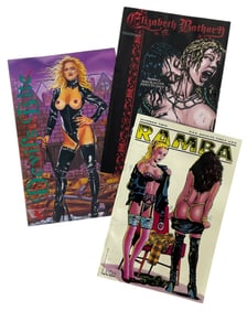 Comic Book Collection | 3 pc.