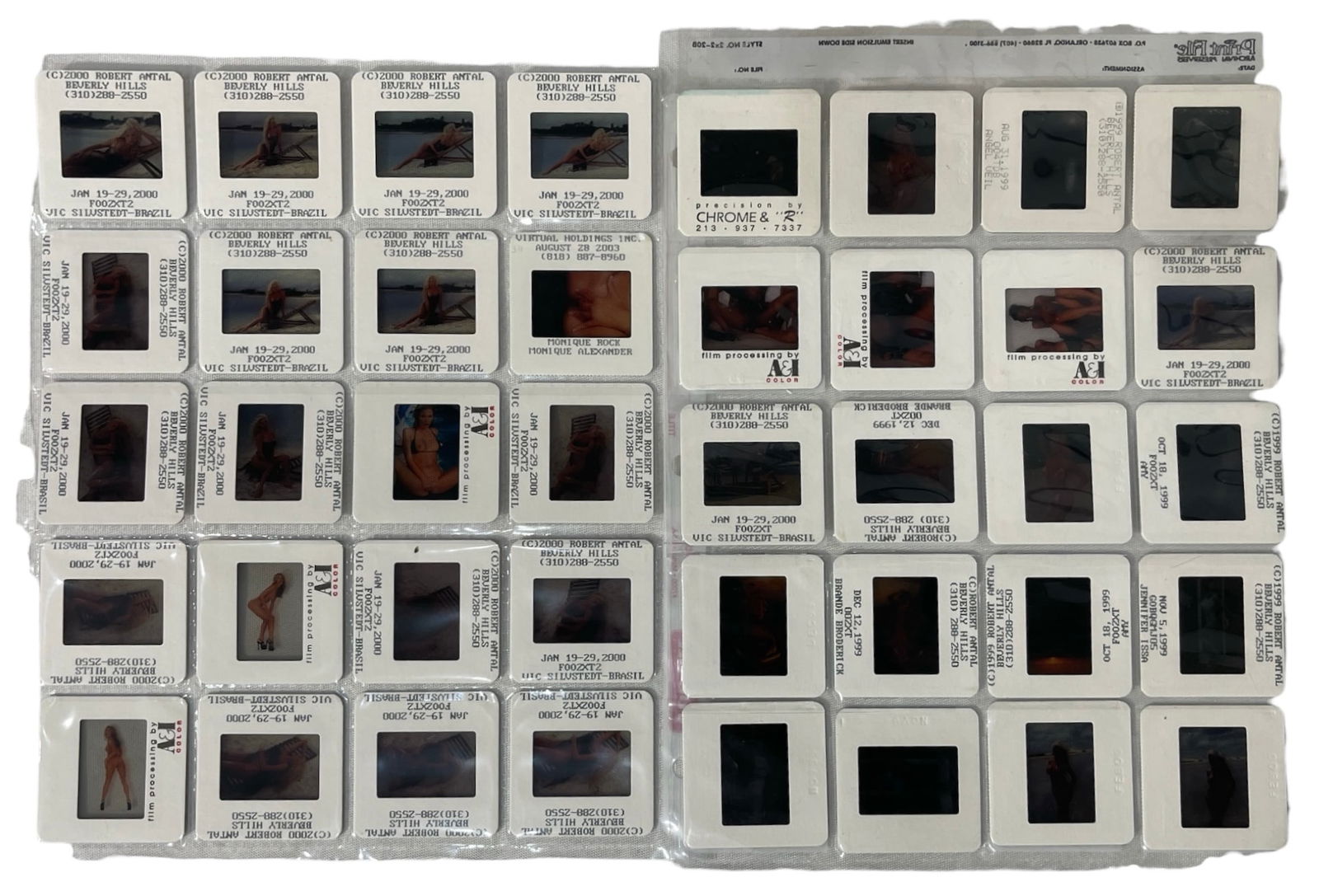 Photo Slide Collection: Photo Slide Collection