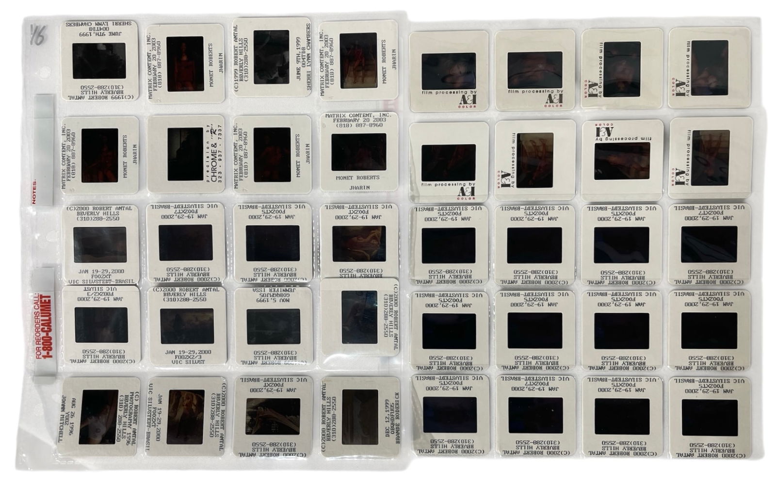 Photo Slide Collection: Photo Slide Collection