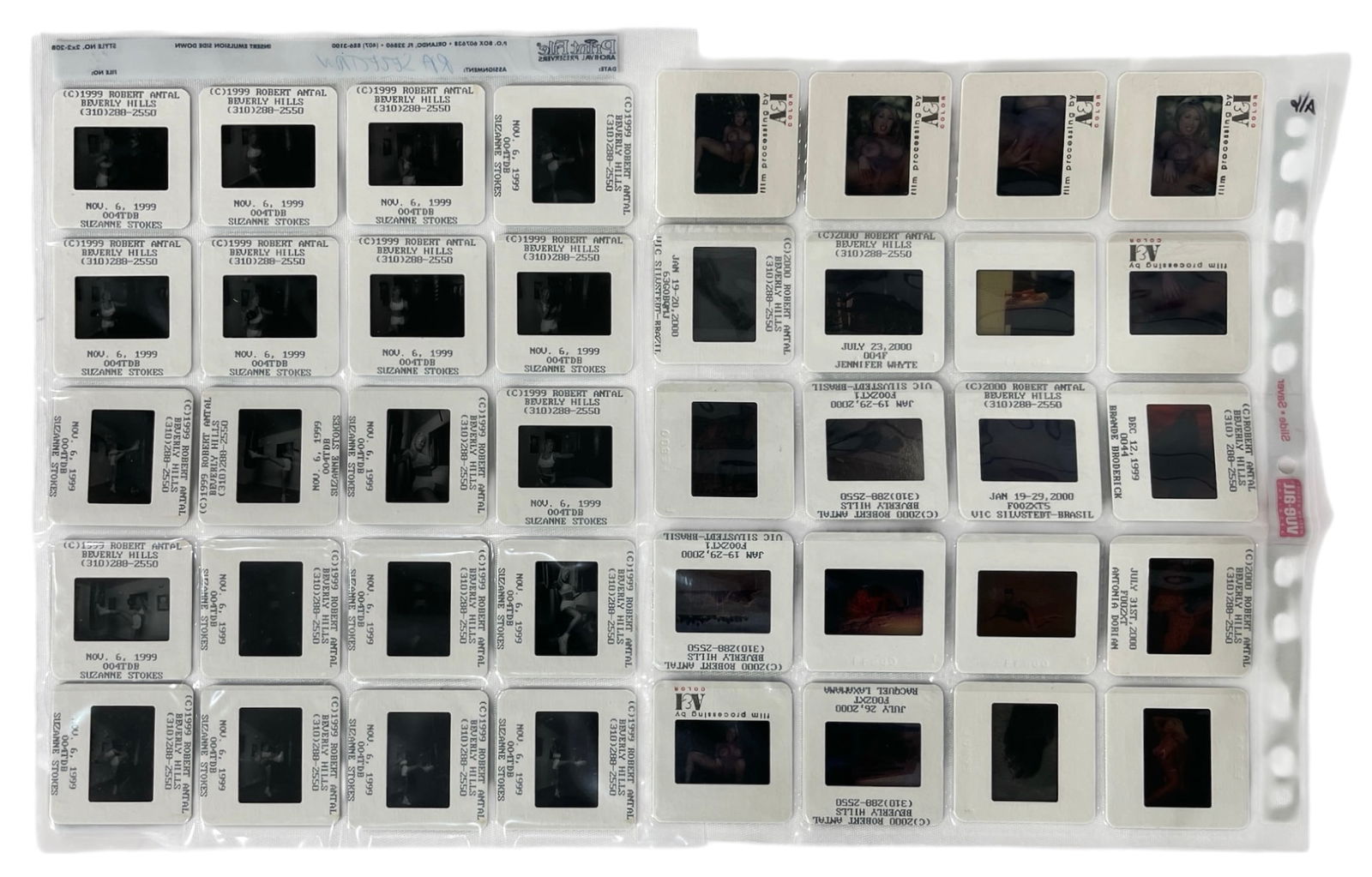 Photo Slide Collection: Photo Slide Collection