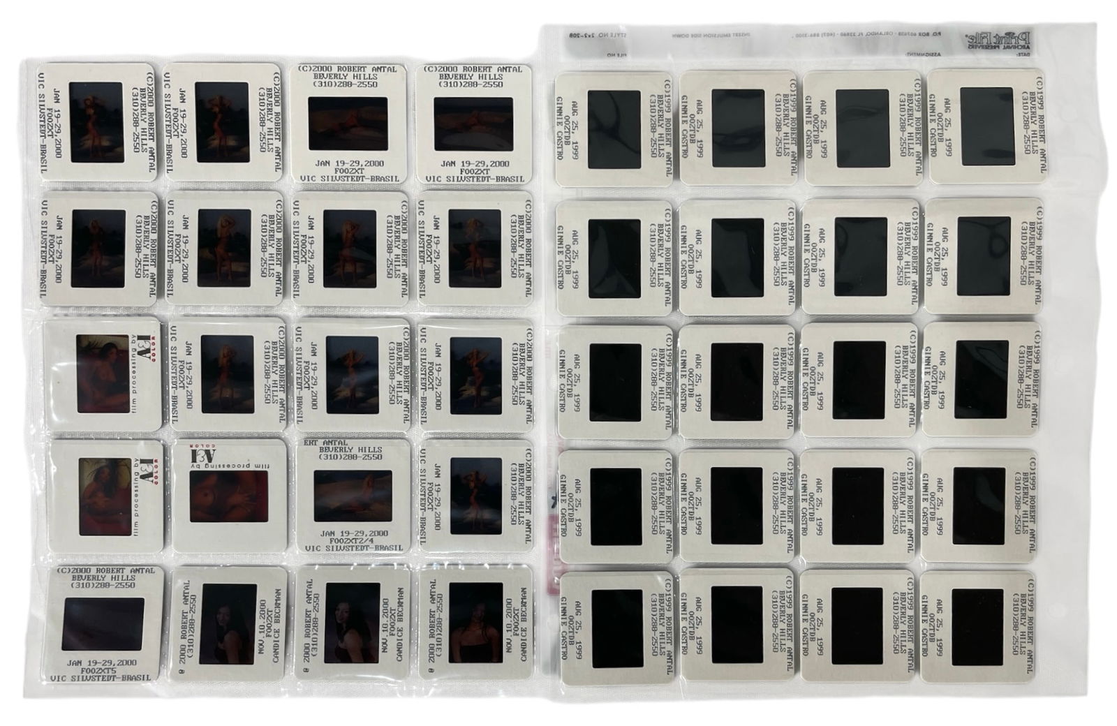 Photo Slide Collection: Photo Slide Collection