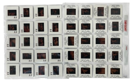 Photo Slide Collection