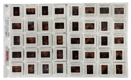 Photo Slide Collection