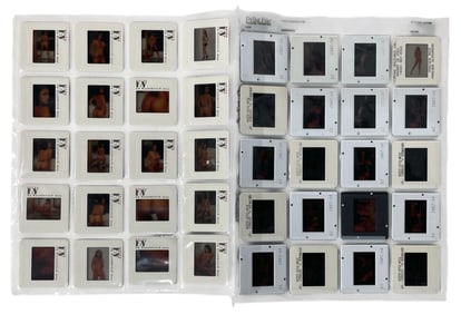 Photo Slide Collection