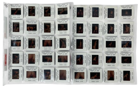 Photo Slide Collection