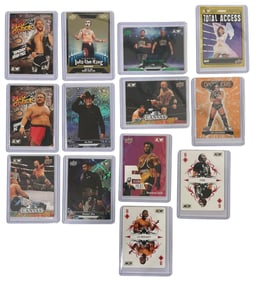 WWE Trading Card Collection