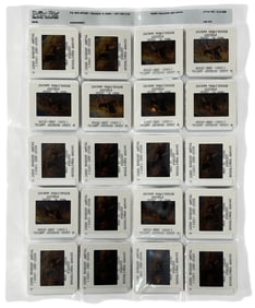 Photo Slide Collection