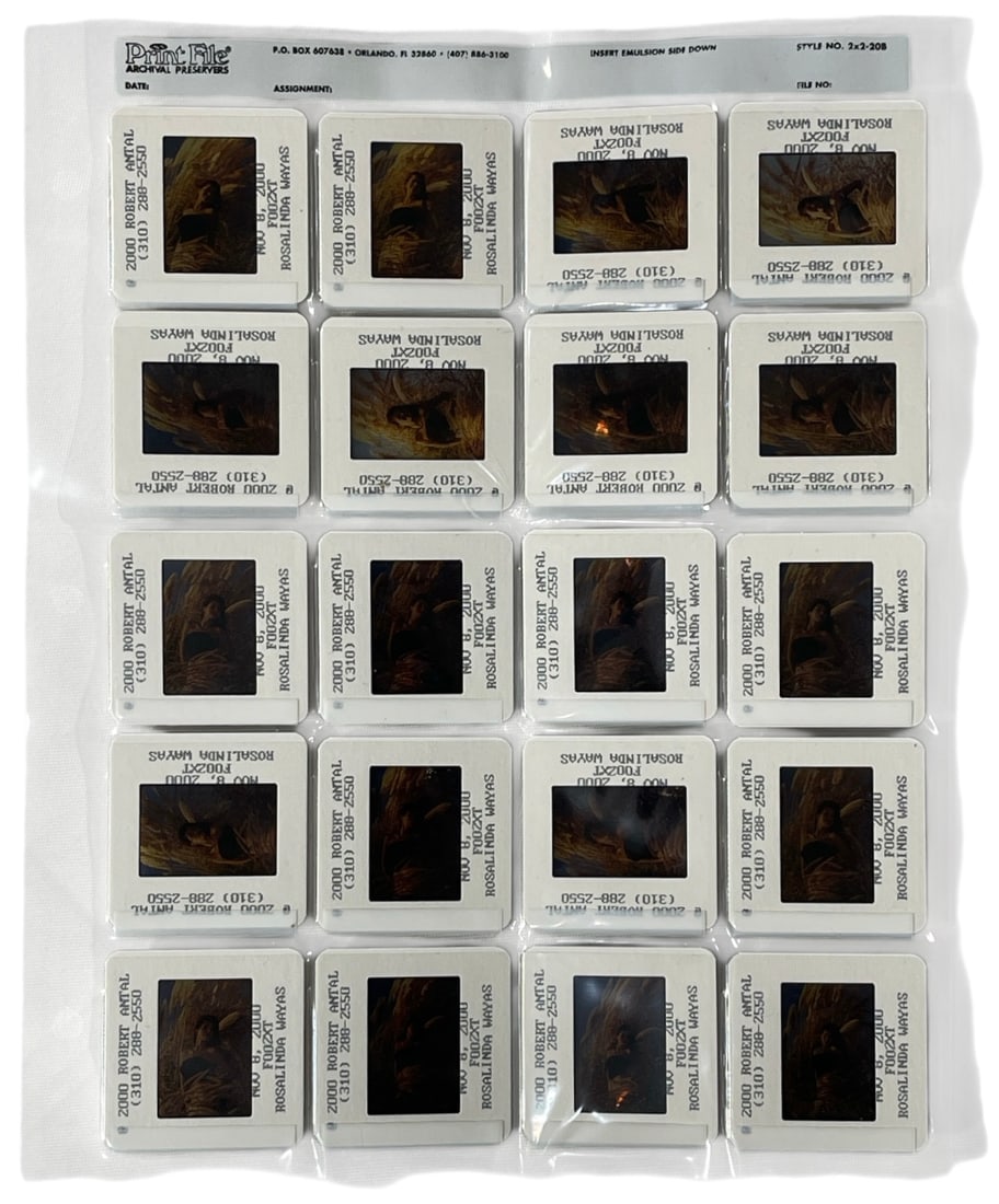 Photo Slide Collection: Photo Slide Collection