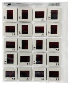 Photo Slide Collection