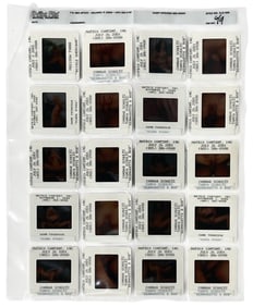 Photo Slide Collection