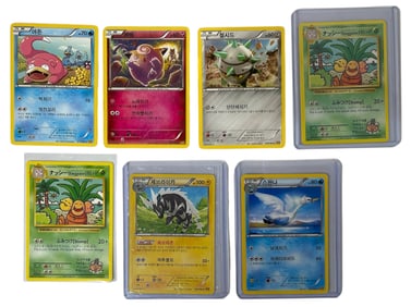 Pokemon Trading Card Collection