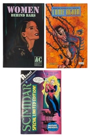 Comic Book Collection | 3 pc.