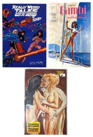 Comic Book Collection | 3 pc.