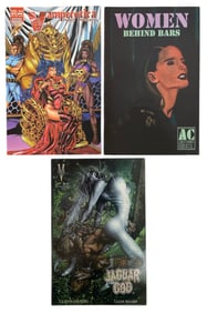 Comic Book Collection | 3 pc.