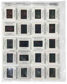 Photo Slide Collection