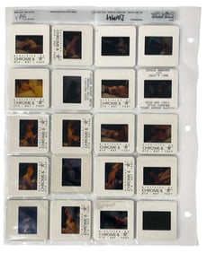 Photo Slide Collection